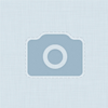 dmitry_456